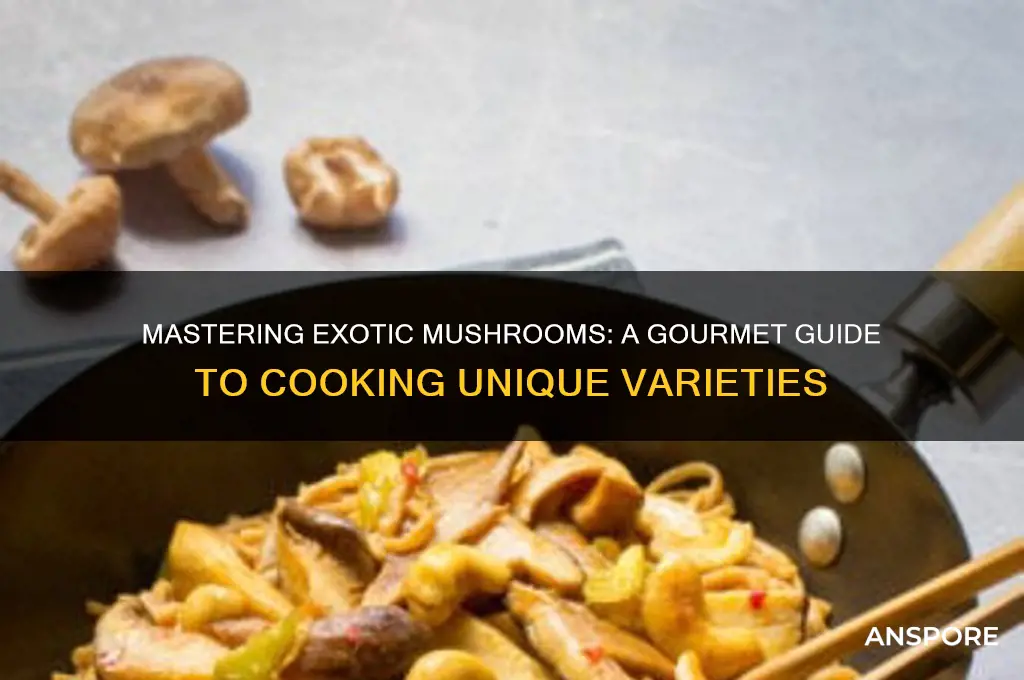 how to cook exotic mushrooms selection