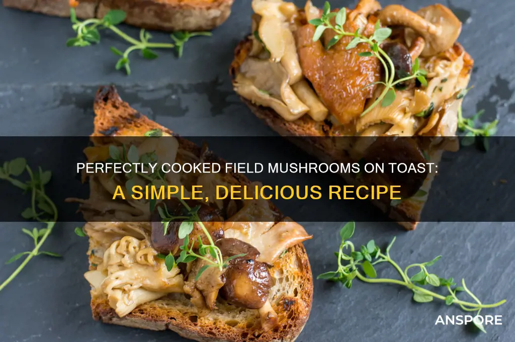 how to cook field mushrooms on toast