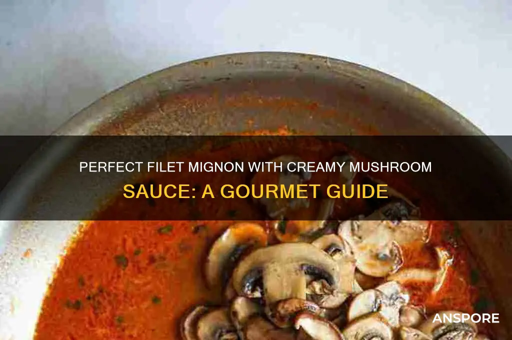 how to cook filet mignon with mushroom sauce