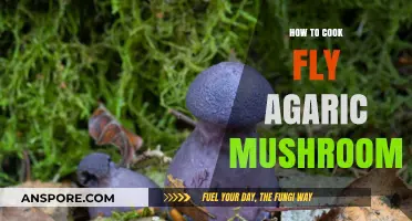 Cooking Fly Agaric Mushrooms: A Safe and Tasty Adventure Guide