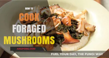 Foraging to Feast: A Beginner's Guide to Cooking Wild Mushrooms