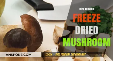 Mastering the Art of Cooking with Freeze-Dried Mushrooms