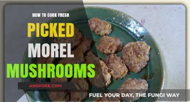 Fresh Morel Mushrooms: A Step-by-Step Guide to Perfect Cooking