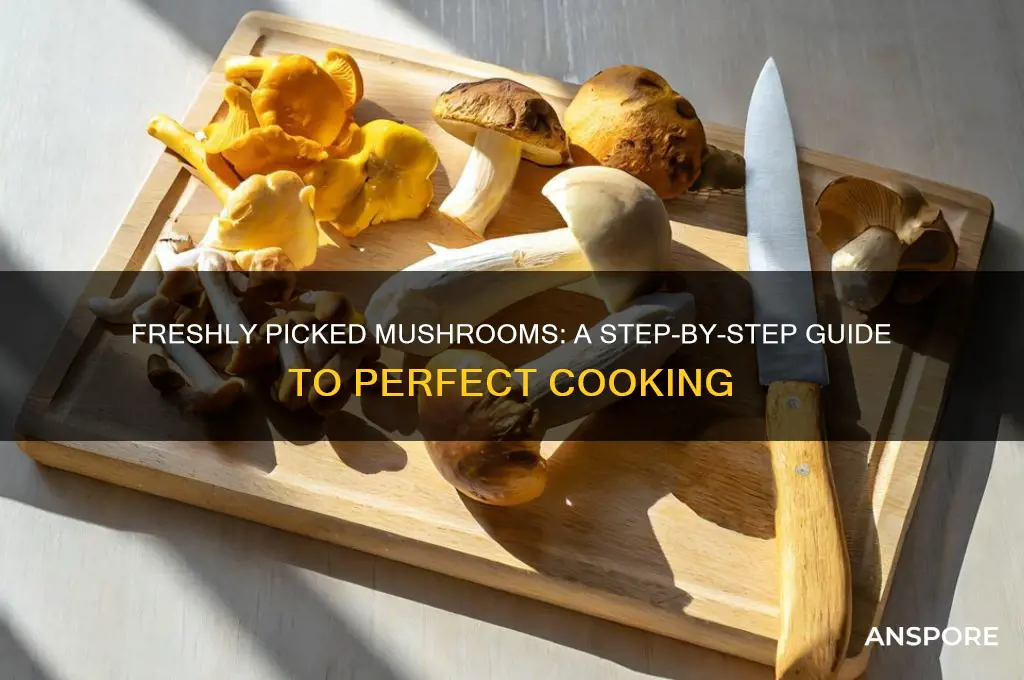 how to cook fresh picked mushrooms