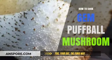 Mastering Gem Puffball Mushrooms: A Simple Cooking Guide for Beginners