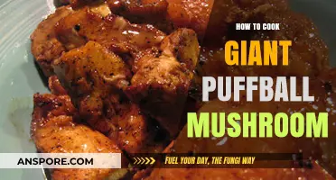 Mastering the Art of Cooking Giant Puffball Mushrooms: A Delicious Guide
