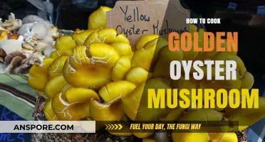 Mastering Golden Oyster Mushrooms: Simple Steps for Perfect Cooking