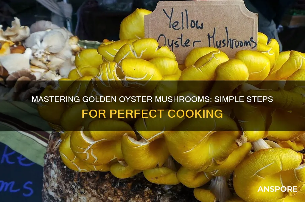 how to cook golden oyster mushroom