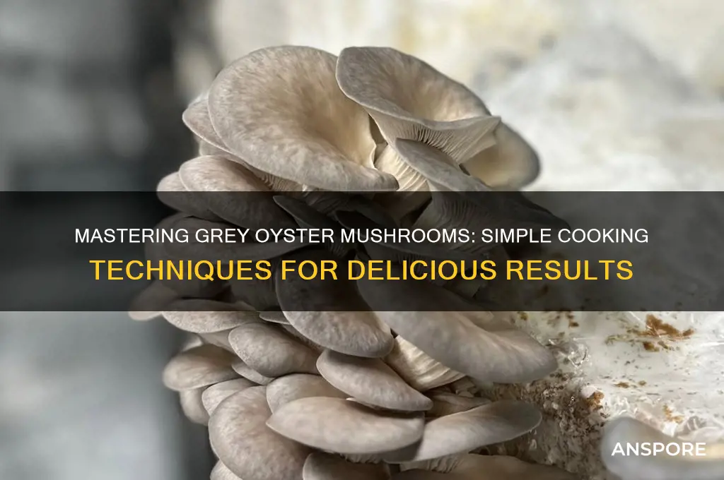 how to cook grey oyster mushroom