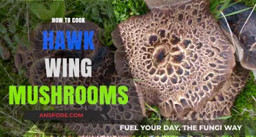 Mastering Hawk Wing Mushrooms: A Delicious Cooking Guide for Beginners