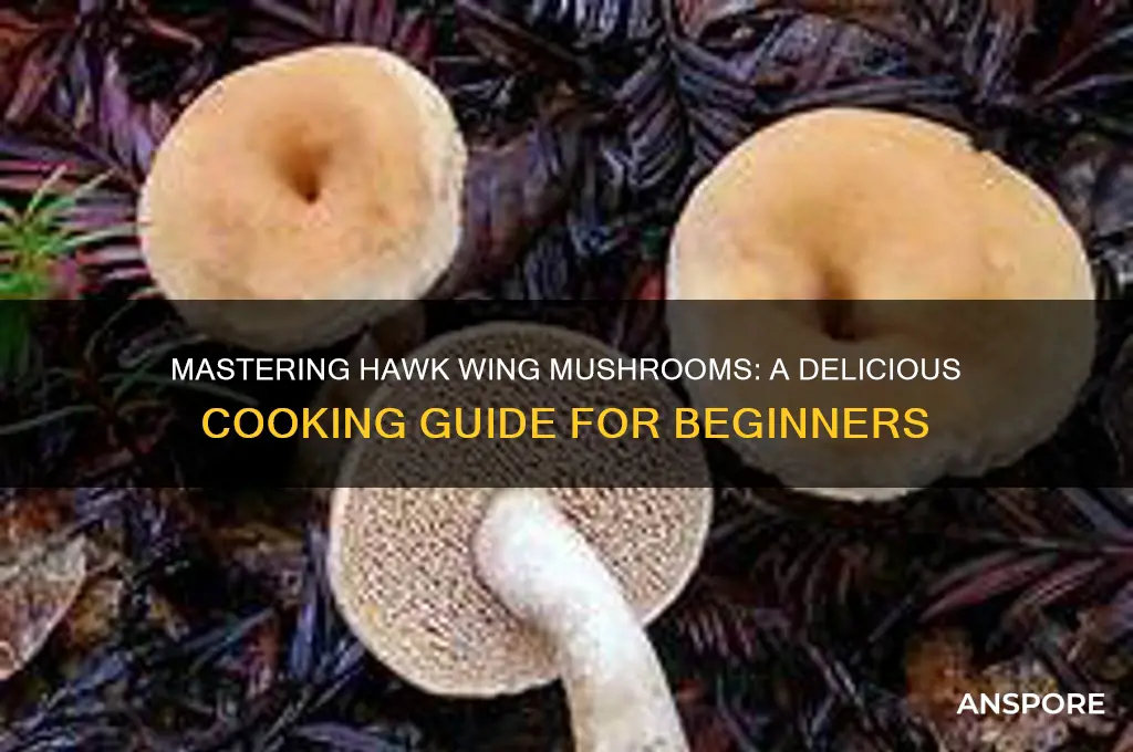 how to cook hawk wing mushrooms
