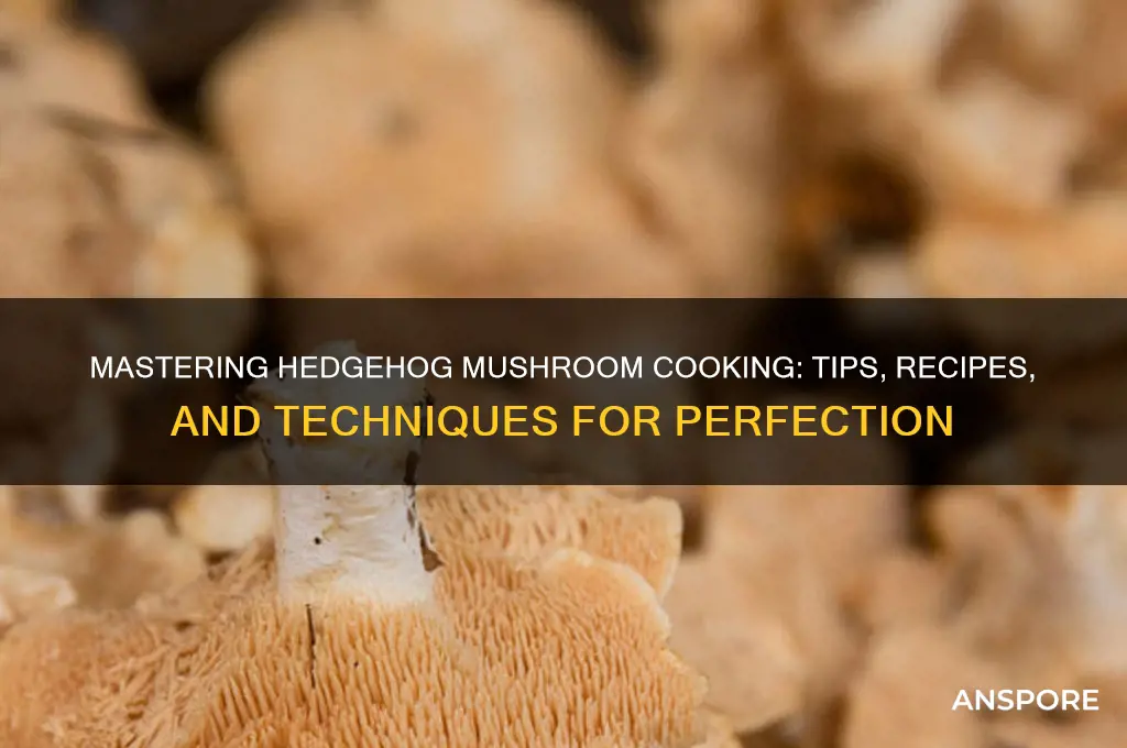 how to cook hedgehog mushroom