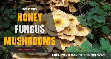 Delicious Honey Fungus Mushrooms: A Simple Cooking Guide for Beginners