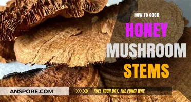 Delicious Honey Mushroom Stems: Easy Cooking Tips and Recipes