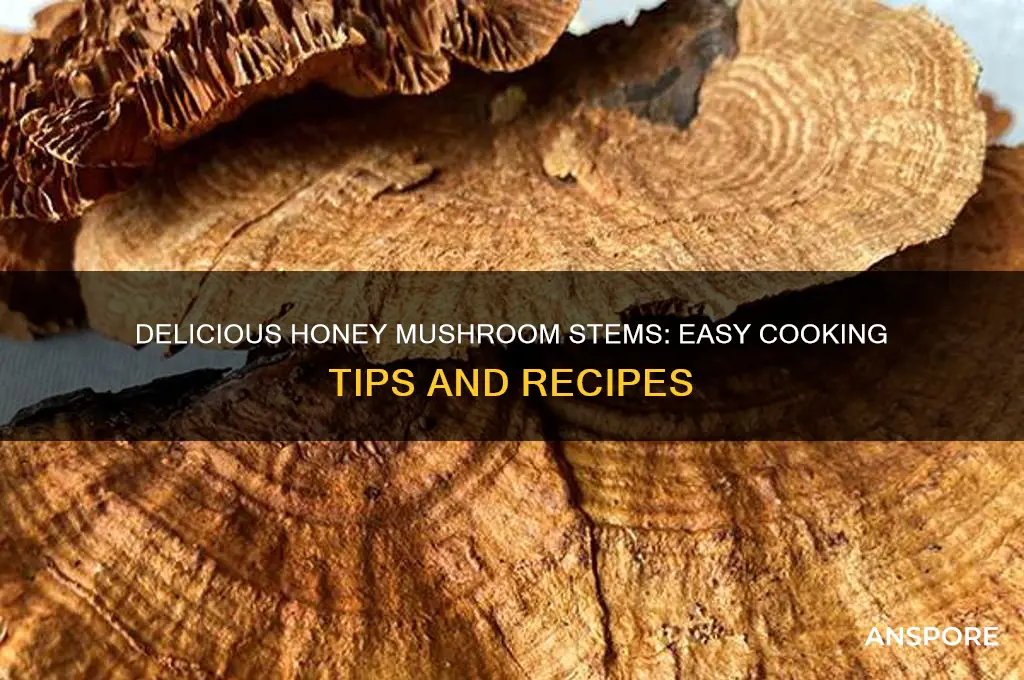 how to cook honey mushroom stems