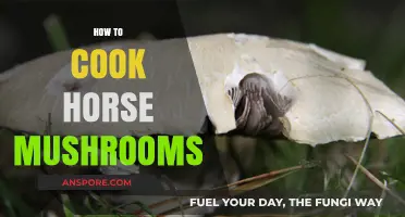 Mastering Horse Mushroom Cooking: Delicious Recipes and Expert Tips