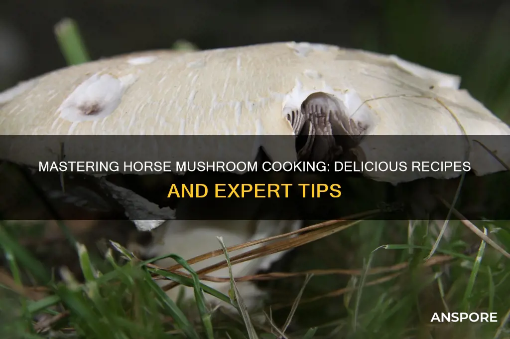 how to cook horse mushrooms