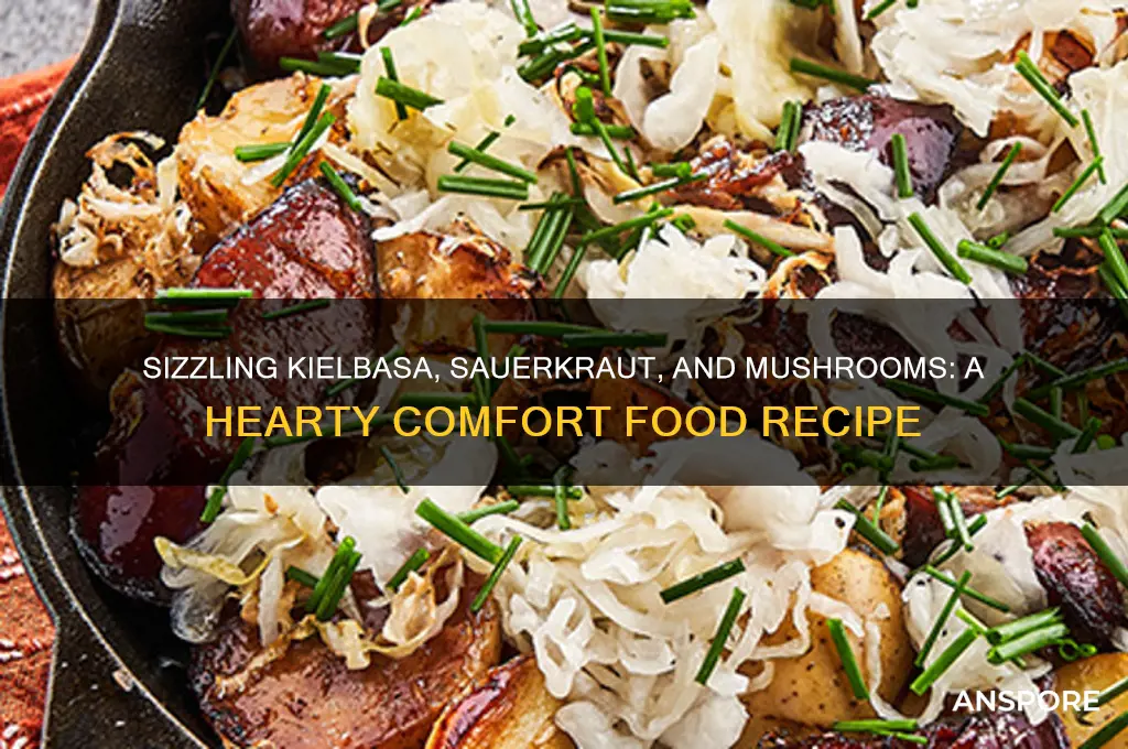 how to cook kielbasa and sauerkraut with mushrooms