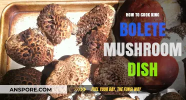 Mastering the Art of Cooking King Bolete Mushrooms: A Delicious Guide