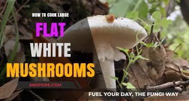 Mastering the Art of Cooking Large Flat White Mushrooms