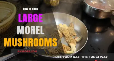 Mastering Morel Magic: Cooking Large Mushrooms to Perfection