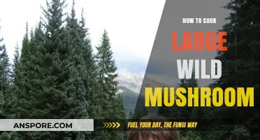 Mastering the Art of Cooking Large Wild Mushrooms: Tips & Recipes