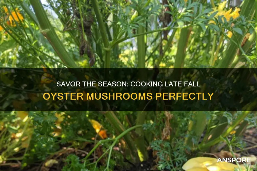 how to cook late fall oyster mushrooms