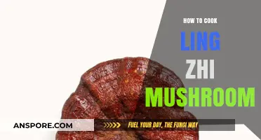 Mastering Ling Zhi Mushroom Cooking: Simple Techniques for Delicious Recipes