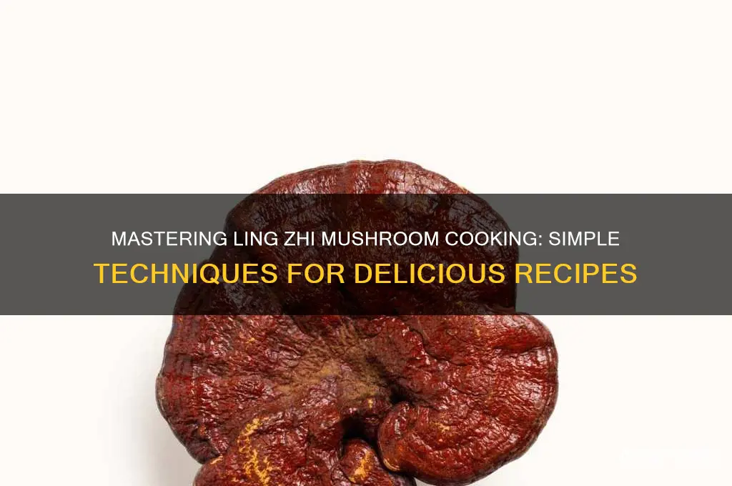 how to cook ling zhi mushroom