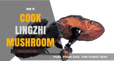 Mastering Lingzhi Mushroom Cooking: Simple Techniques for Delicious Recipes