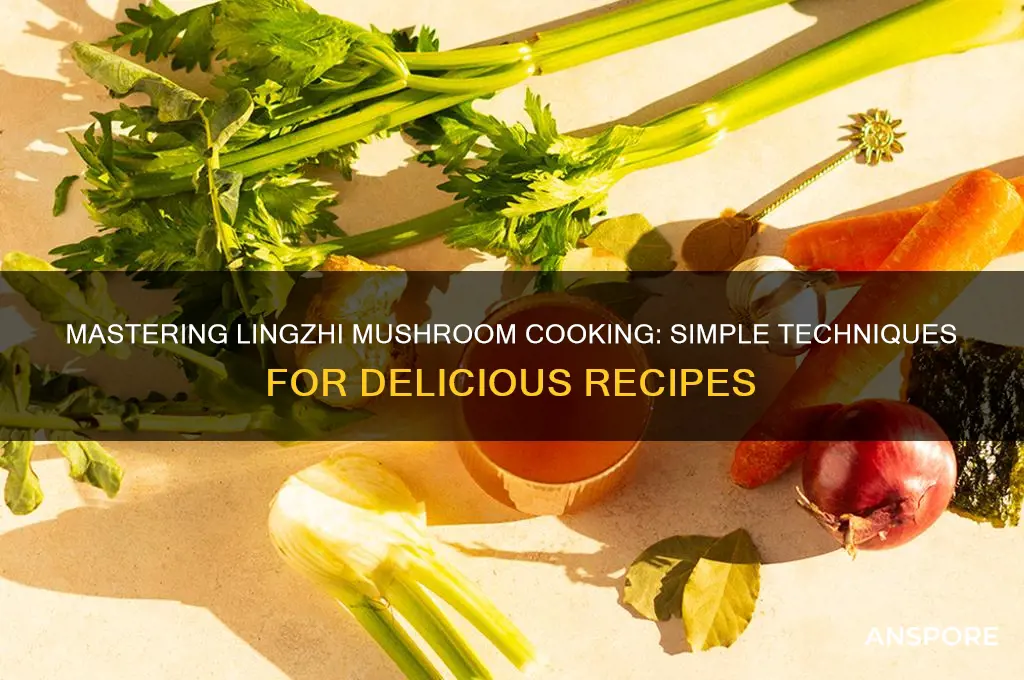 how to cook lingzhi mushroom