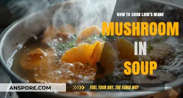 Delicious Lion's Mane Mushroom Soup Recipe: Easy Cooking Guide