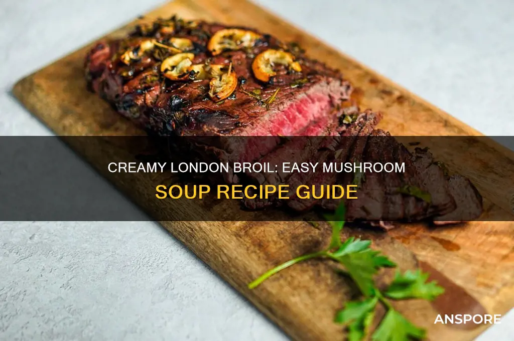 how to cook london broil with cream of mushroom soup