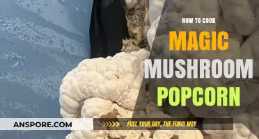 Crafting Psychedelic Snacks: A Guide to Magic Mushroom Popcorn