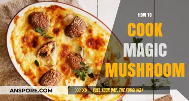 Mastering the Art of Cooking Magic Mushrooms: A Beginner's Guide