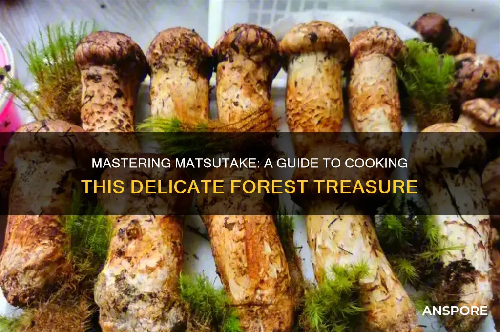 how to cook matsutake mushroom
