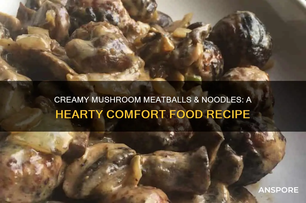 how to cook meatballs and noodles cream of mushroom