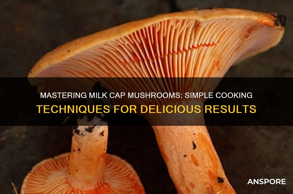 how to cook milk cap mushrooms