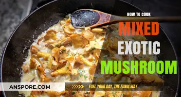 Mastering the Art of Cooking Mixed Exotic Mushrooms: A Flavorful Guide