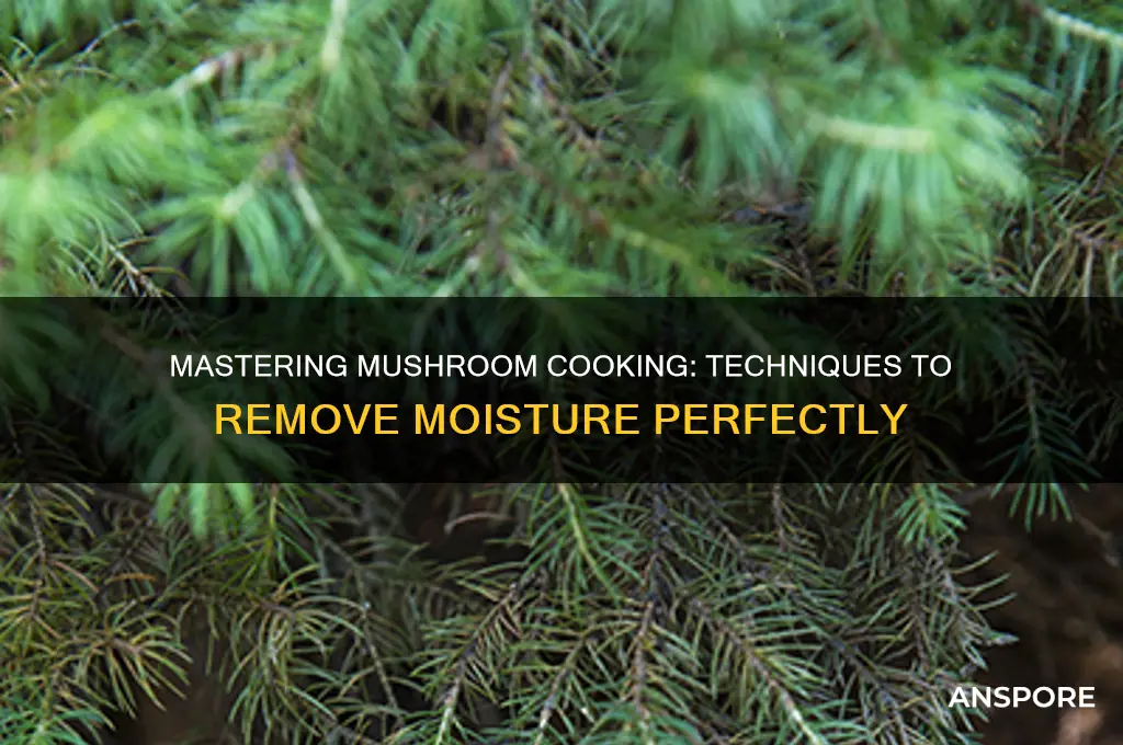 how to cook moisture out of mushrooms