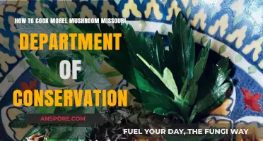 Cooking Morel Mushrooms: Missouri Department of Conservation's Guide