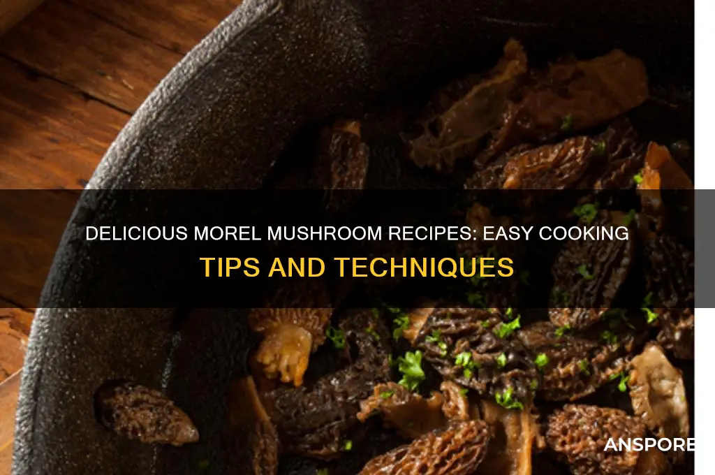 how to cook morel mushroom recipes