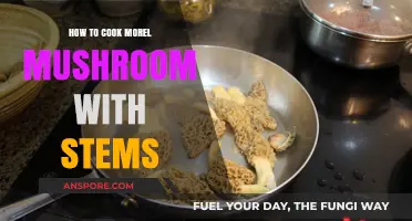 Mastering Morel Mushrooms: Delicious Stem-to-Cap Cooking Techniques