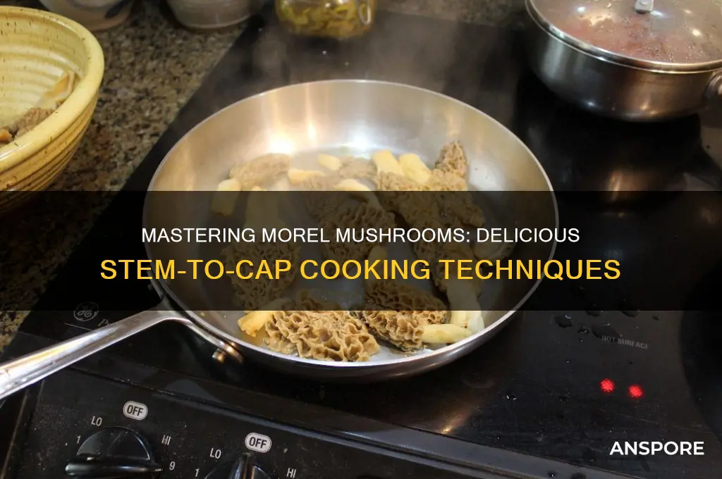 how to cook morel mushroom with stems