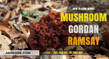 Mastering Morel Mushrooms: Gordon Ramsay's Cooking Secrets Revealed