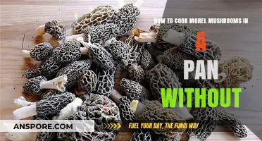 Pan-Cooking Morel Mushrooms: Simple, Flavorful, No-Fuss Recipe Guide