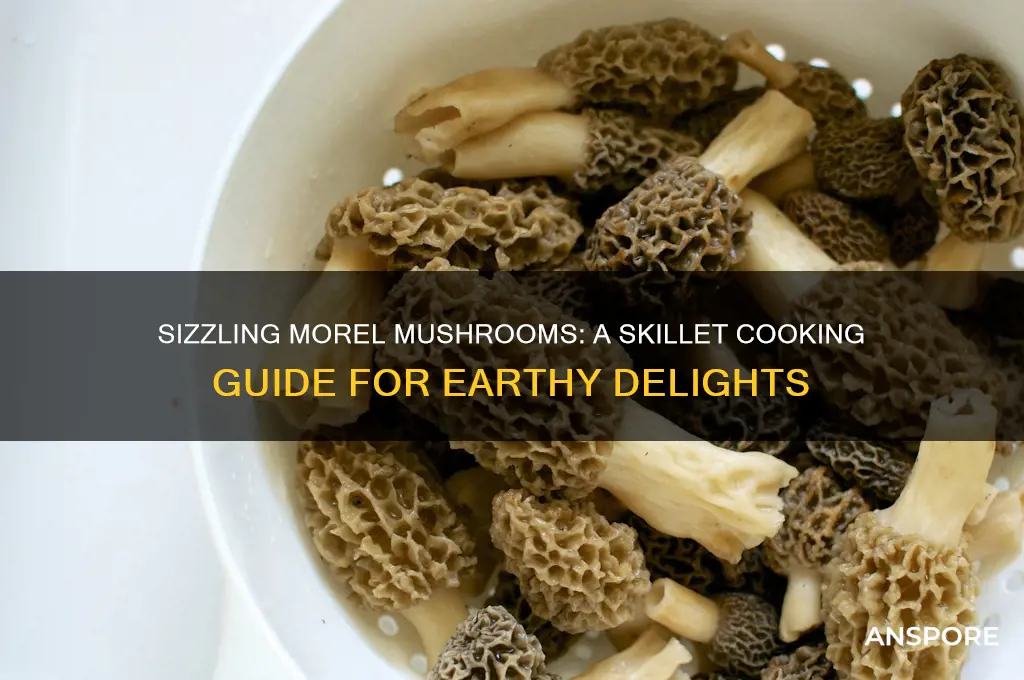 how to cook morel mushrooms in a skillet