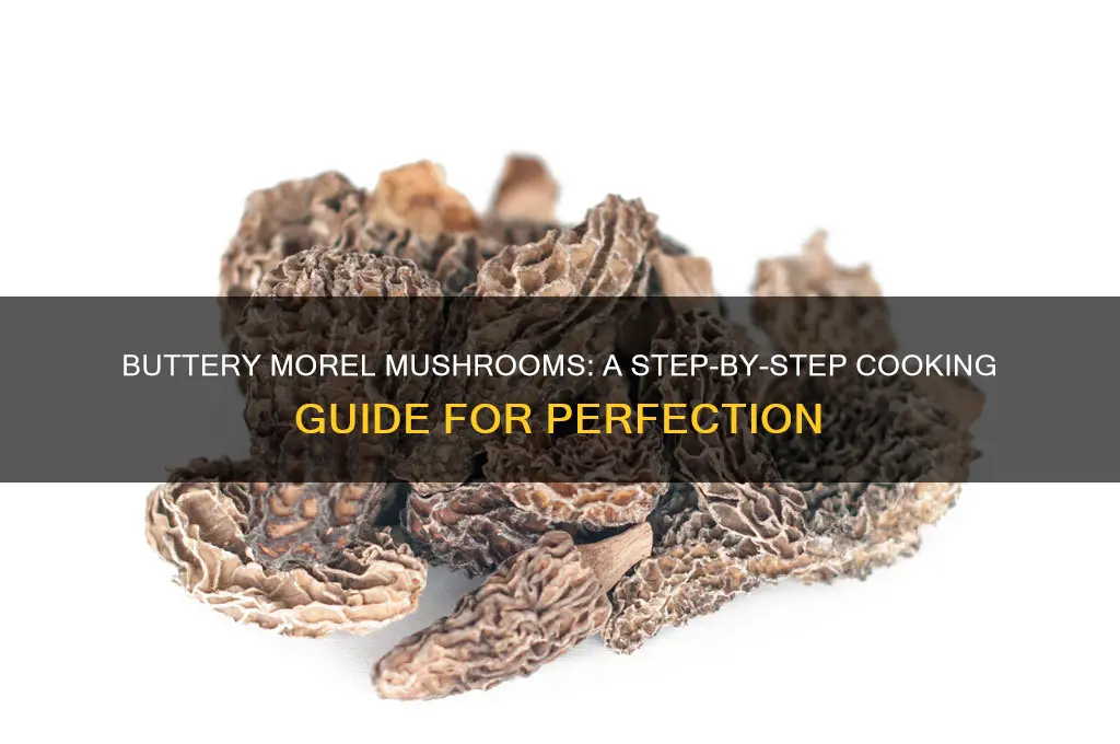 how to cook morel mushrooms in butte