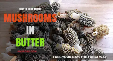Savor Morel Mushrooms: A Butter-Cooking Guide for Earthy Delights