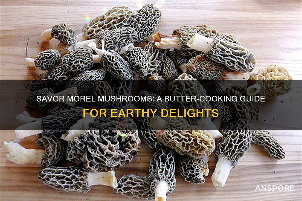 how to cook morel mushrooms in butter